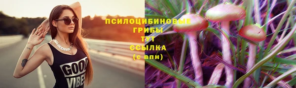 мдма Дмитров