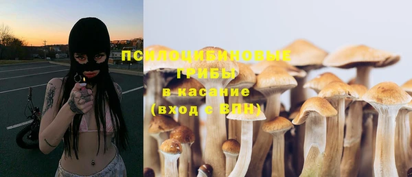 таблы Заводоуковск