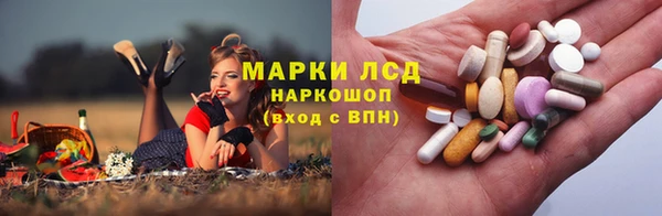 сатива Заволжск