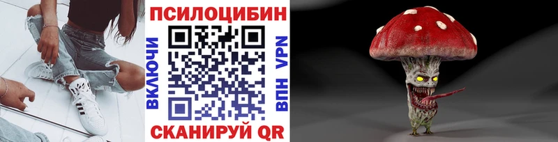 Купить закладки  Лесозаводск  Псилоцибиновые грибы Psilocybe 